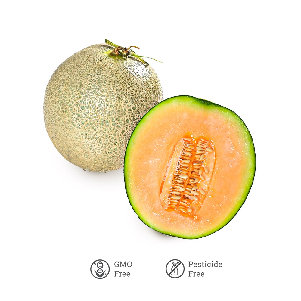 

Melon Rock Orange TBSM