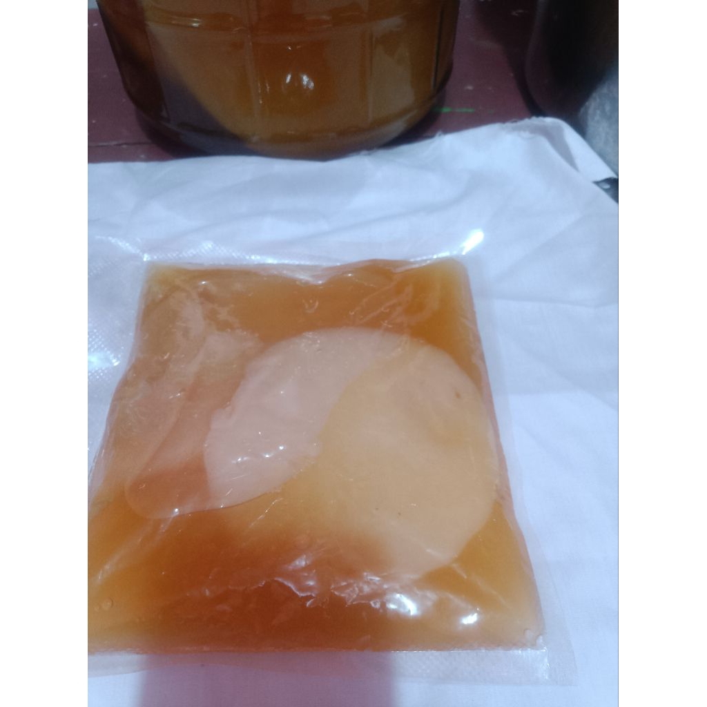 

Starter Kombucha scoby