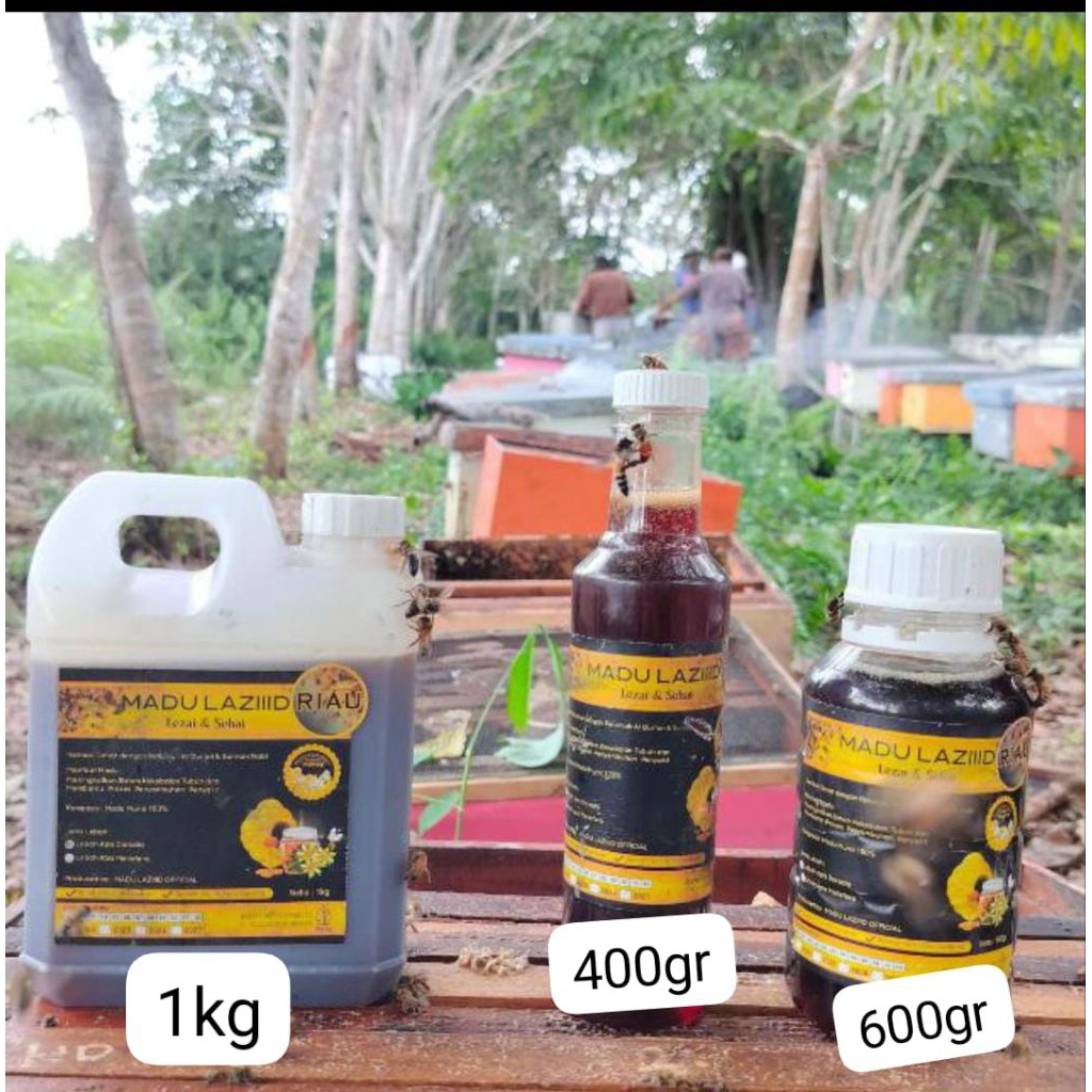 

600gr Madu murni Hutan akasia crasicarpa multiflora Riau (Raw honey) 600gr