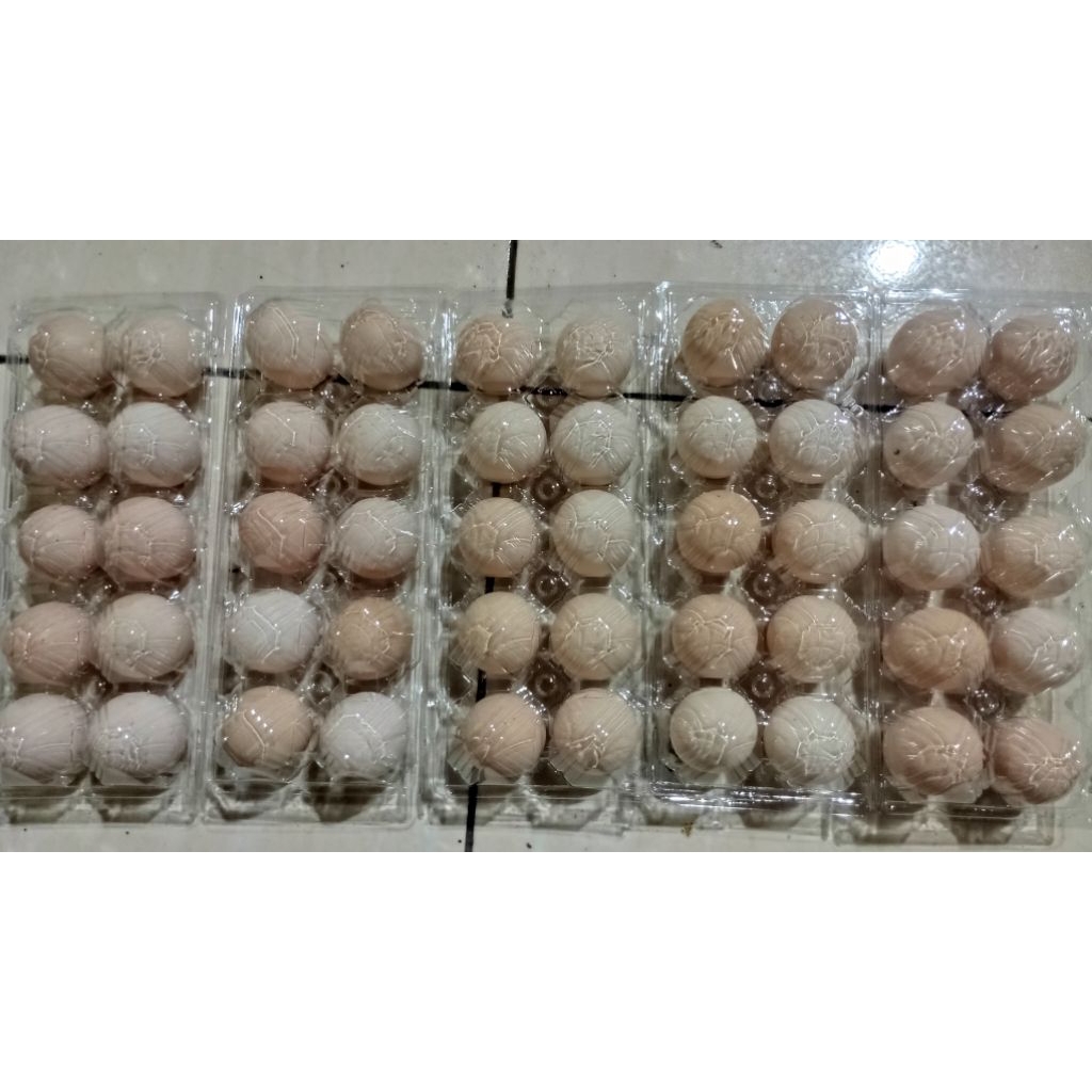 

Telur ayam kampung fresh