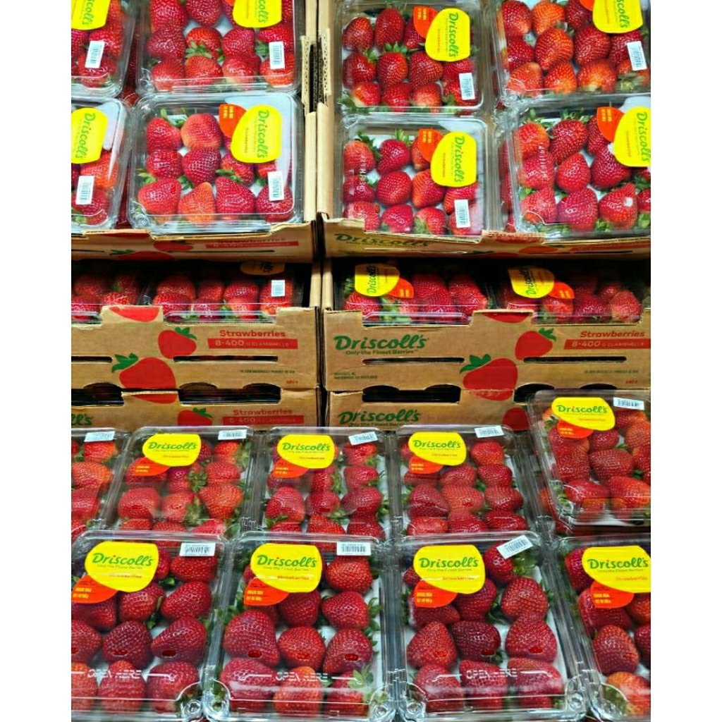 

strawberry ausie super/250g