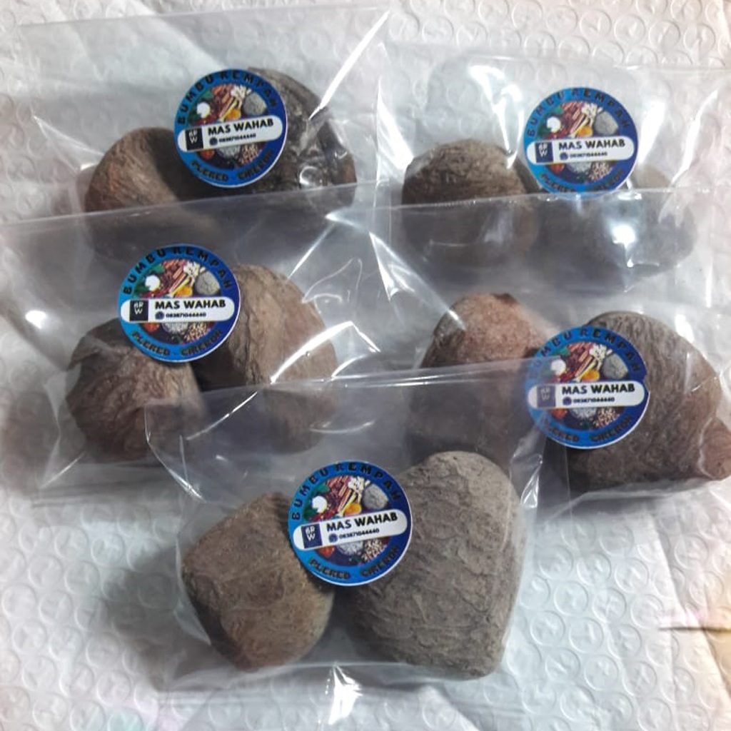 

Kluwek Keluak 2 biji