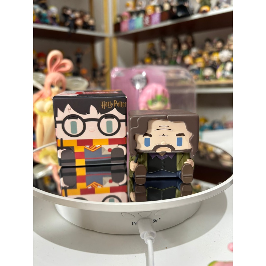 HARRY POTTER SIRIUS BLACK POP MART