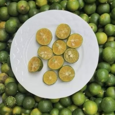 

Promo buah jeruk sonkit jeruk mini segar 1 kg