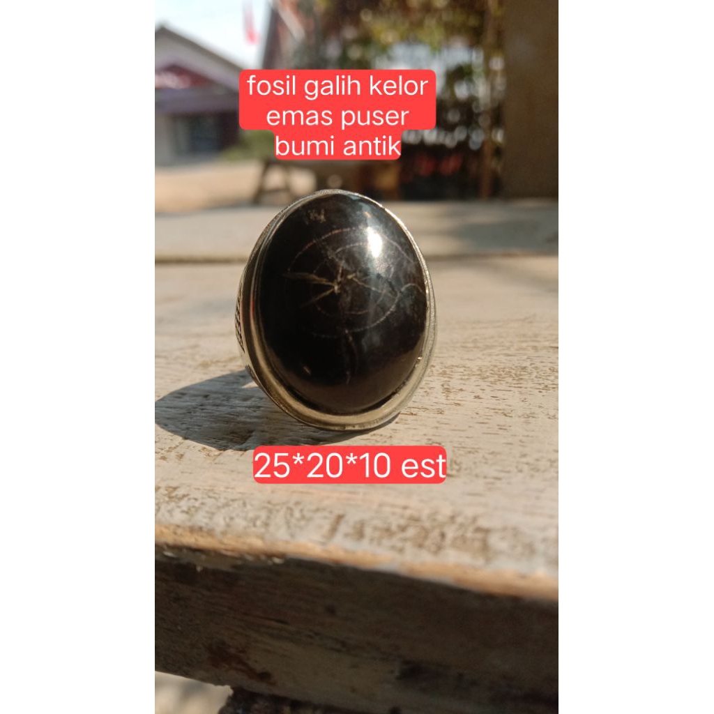 natural batu fosil galih kelor emas puser bumi