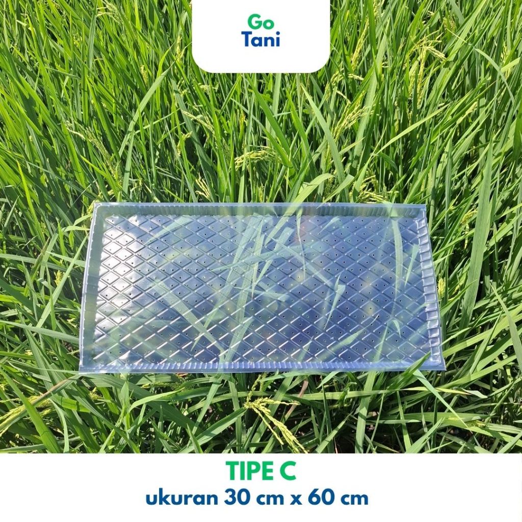 ( Tipe C ) Tray Semai Benih Padi / Tray Semai Padi / Wadah Semai Padi / Tray Semai