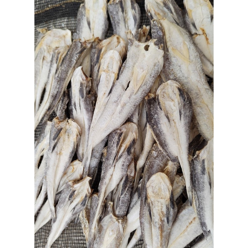 

Ikan Asin Kacangan Kering Murah / Ikan Asin Laut Murah