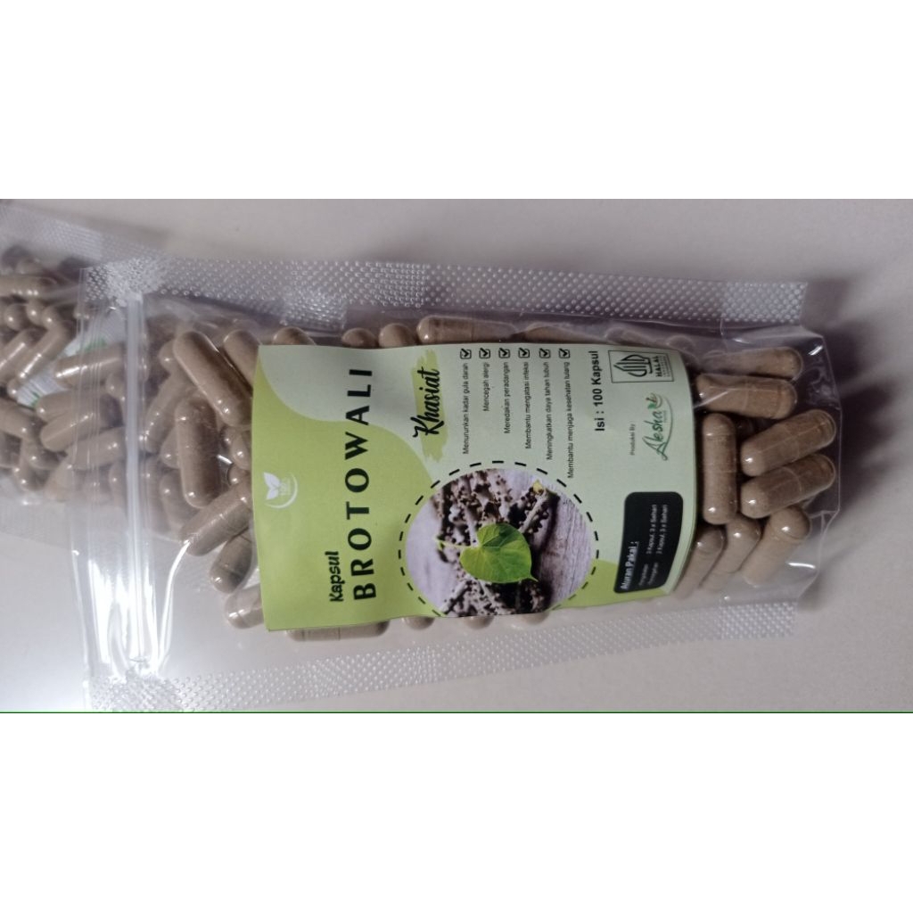 kapsul Brotowali murni isi 100