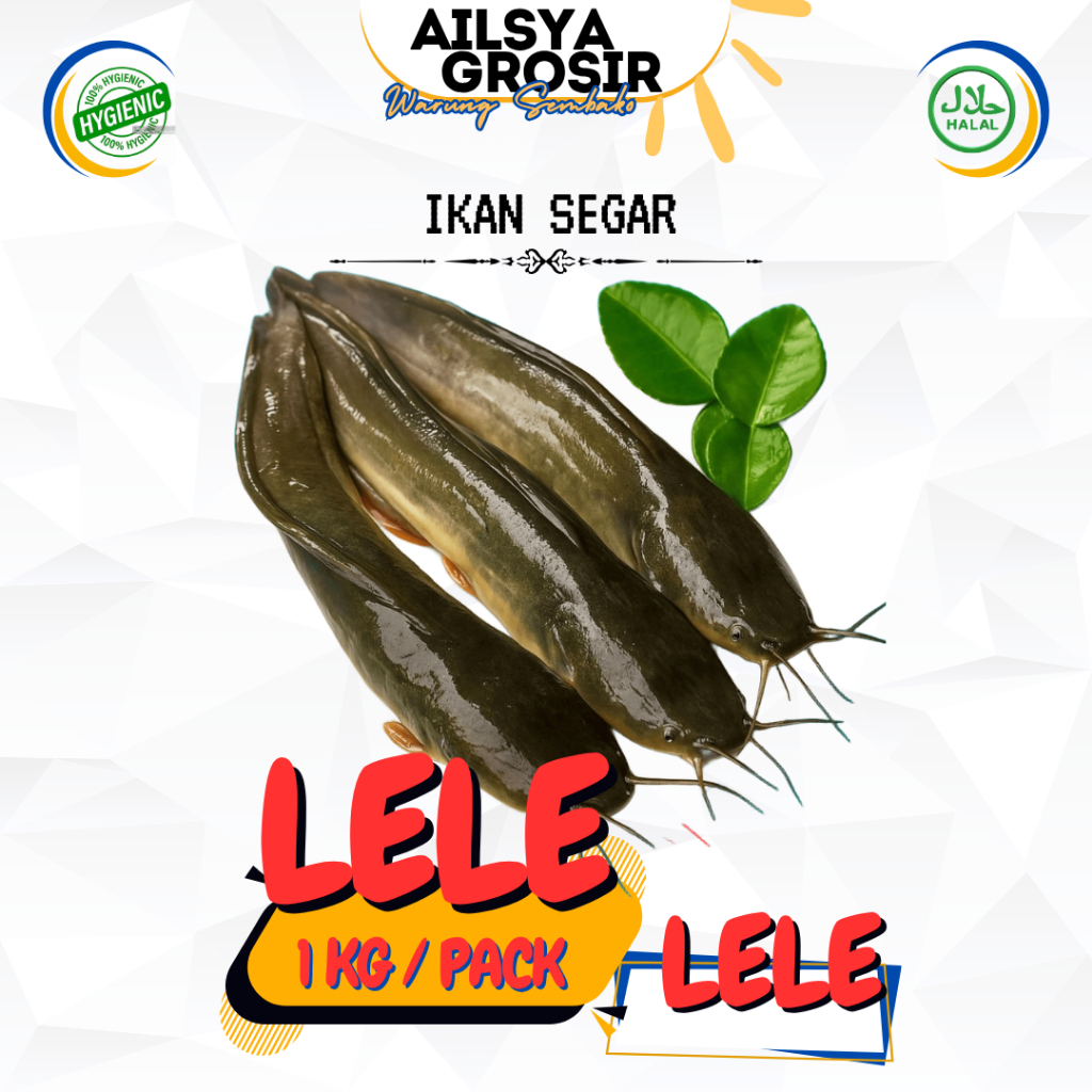 

Ikan Lele Segar Bersih Fresh 1 Kg - Siap Masak
