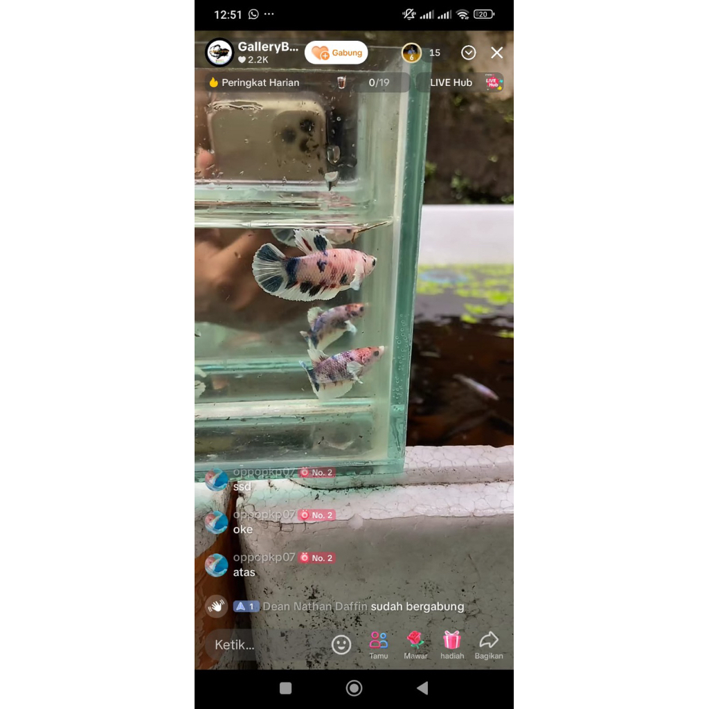 HMDE & PKDE MULTI PAIR KAK OPO