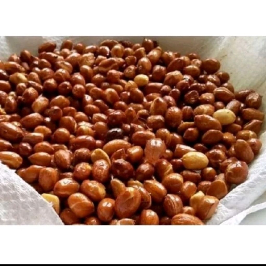 

Kacang Tanah Sangrai Ukuran 500 gram - 1000 gram / Kacang Tanah Sangrai Murah Tersedia Pilihan 500 Gram - 1 Kg