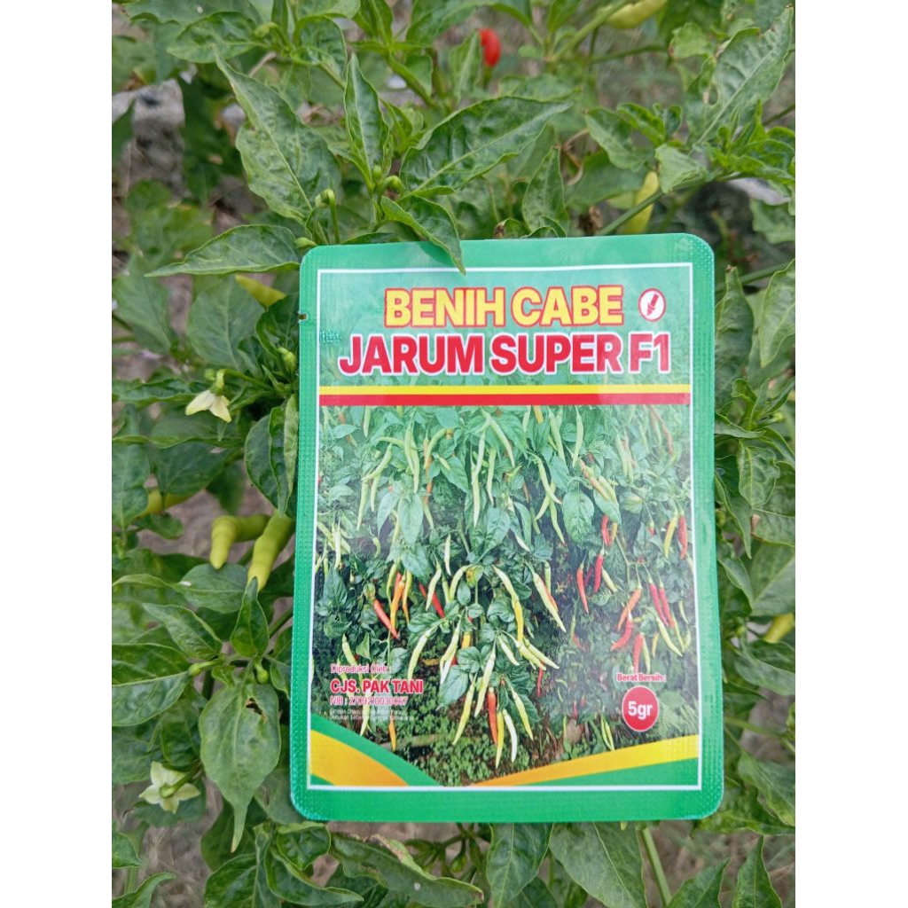 BURUAN CHECK OUT MUMPUNG ADA DISKON 20% BENIH CABE JARUM/SIRUP/PATALAN ORIGINAL ASLI KEMASAN PERTANI