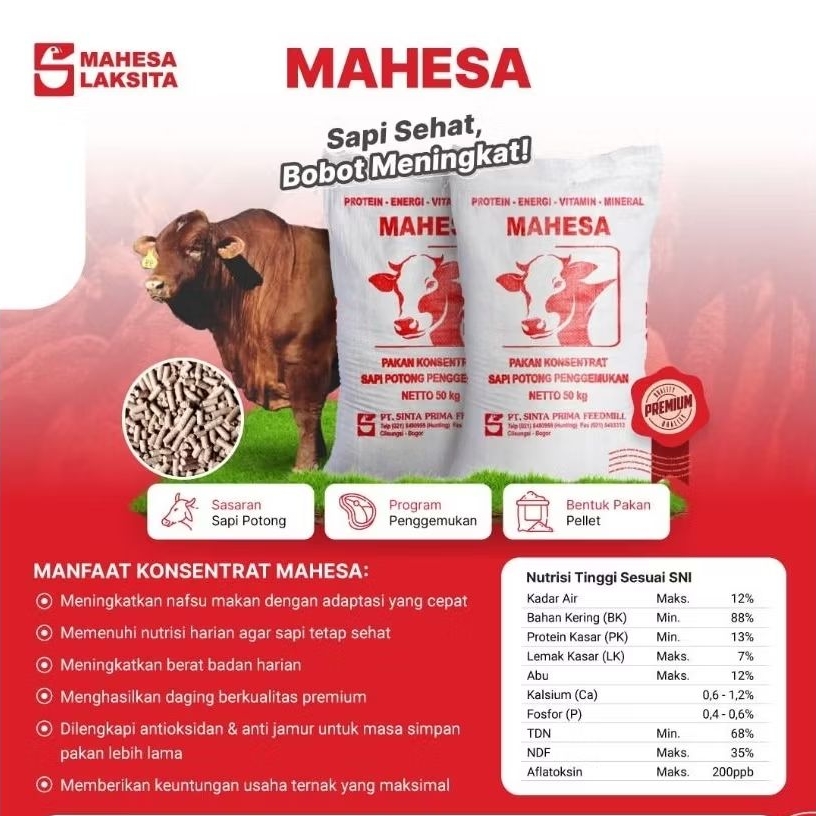 PAKAN MAHESA 1KG KOSENTRAT SAPI POTONG PEDAGING Untuk Penggemuan ternak sapi kambing