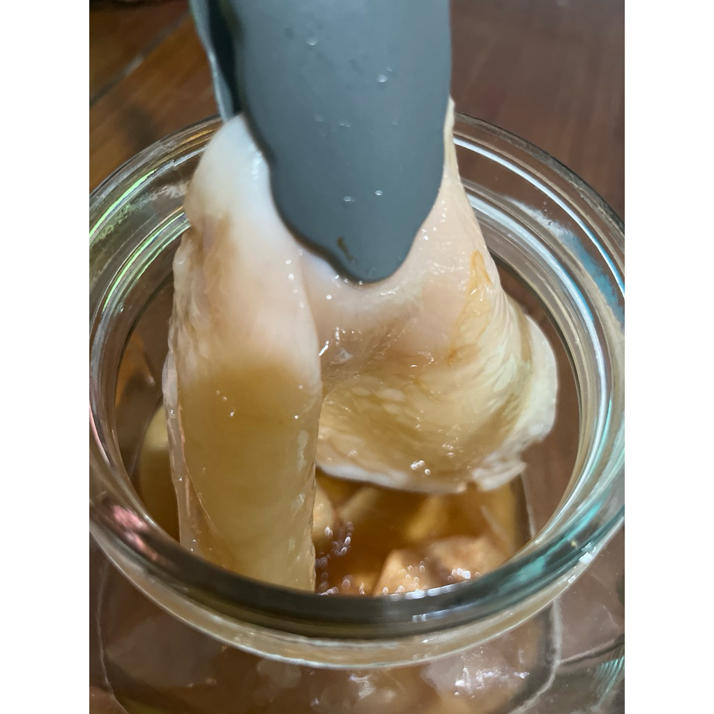

Scoby kombucha ukuran besar 16cm