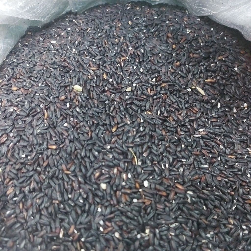 

BERAS KETAN ITAM PK 1KG