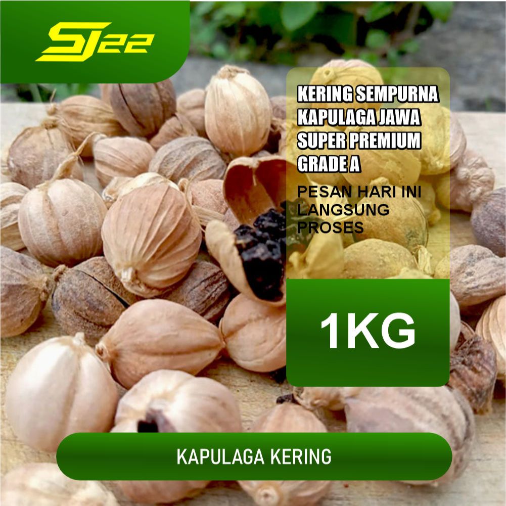 

Kapulaga Kering 1Kg Kapolaga Jawa