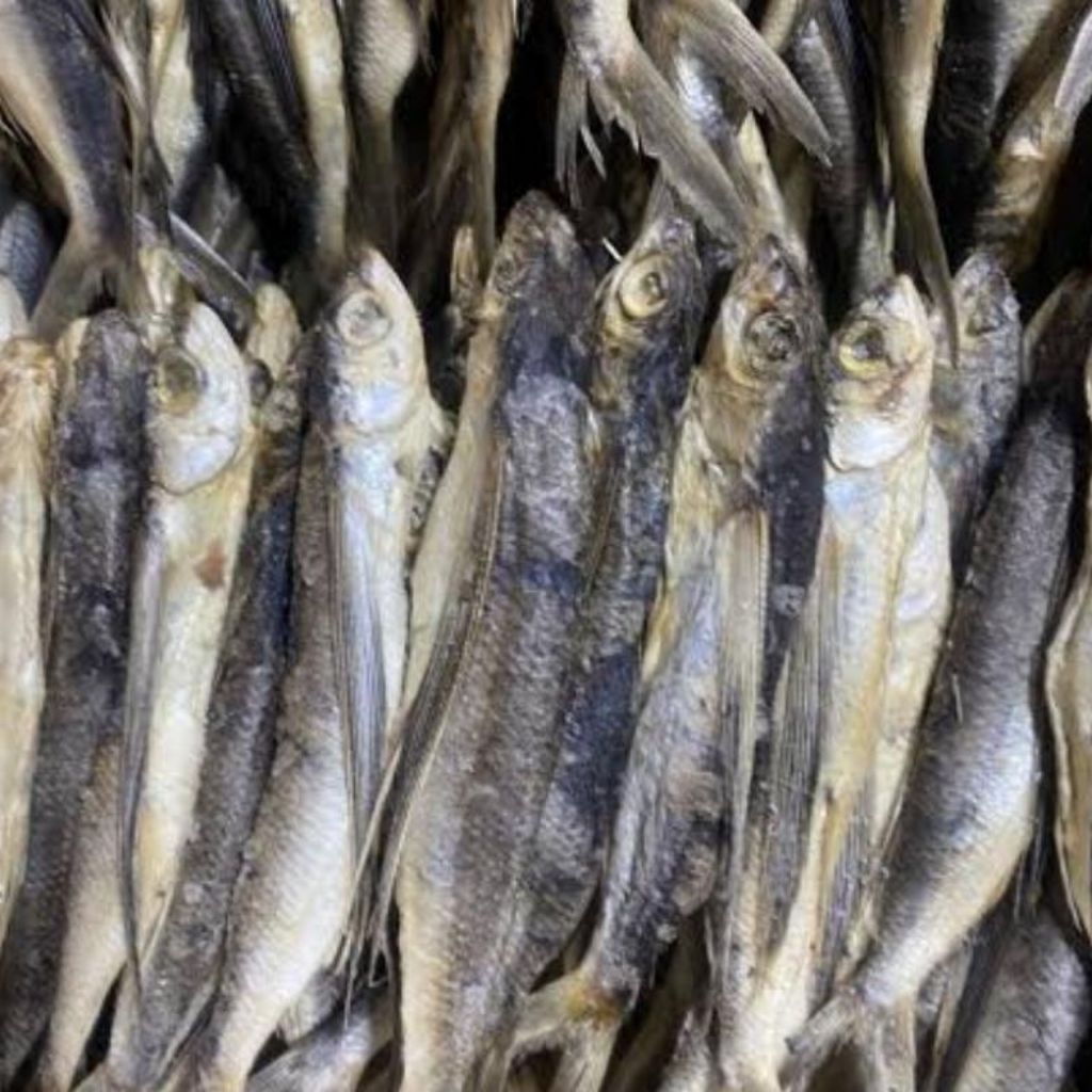 

ikan asin tuing tuing per 3ekor