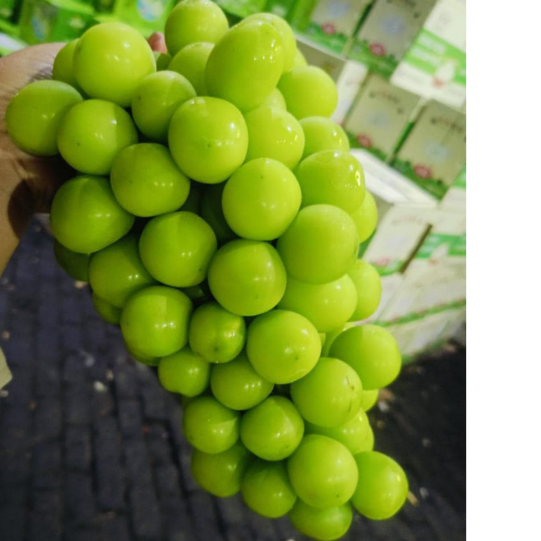 

anggur shine muscat kemasan 1 kg