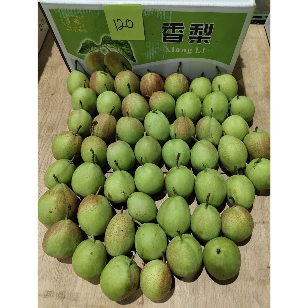 

buah pir xiangli 1kg