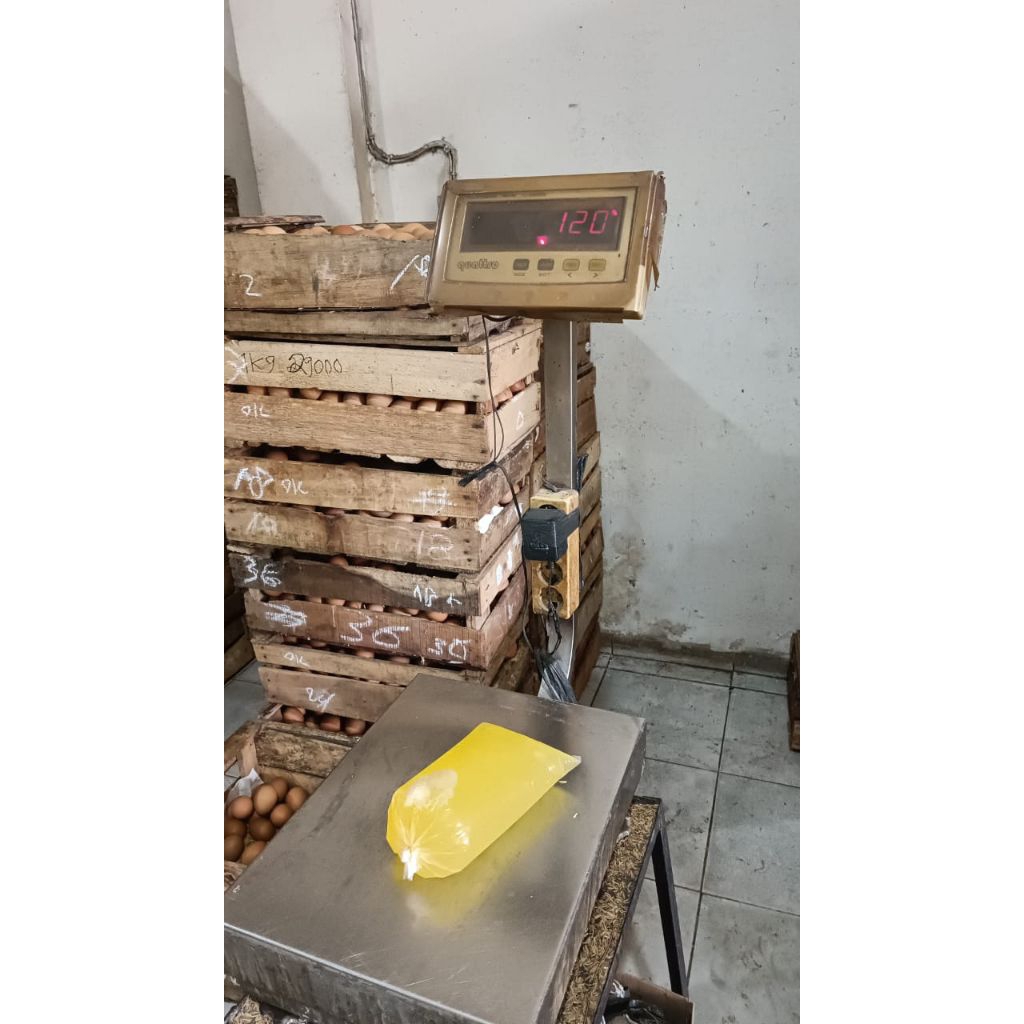 

Putih telor ±1,2kg kental ,mentah