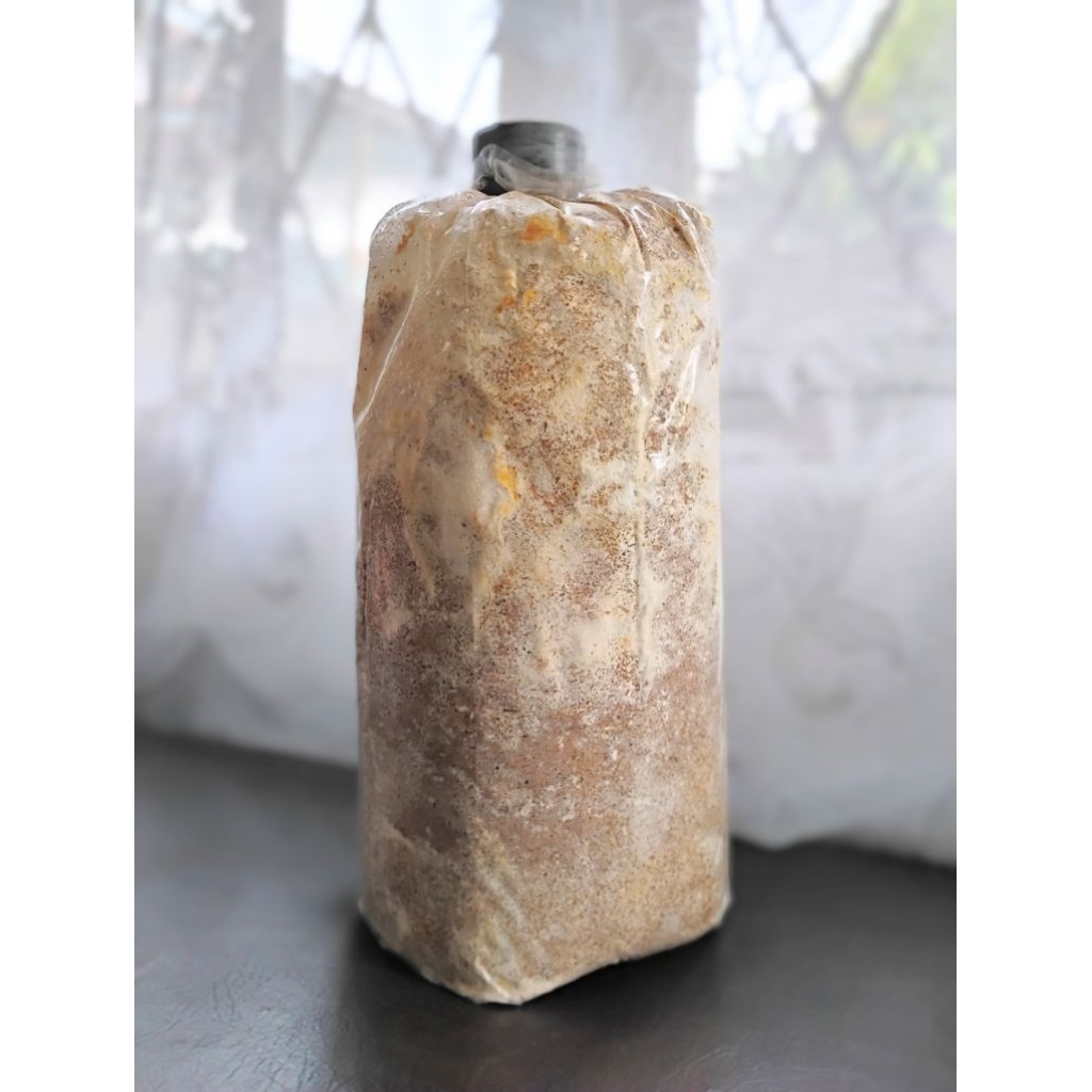 

Baglog Jamur Tiram Putih 25 x 12 cm siap budidaya