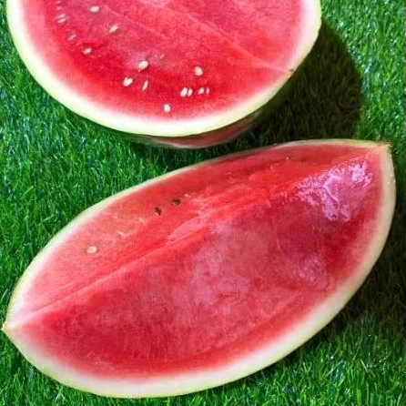 

Semangka Merah Manis