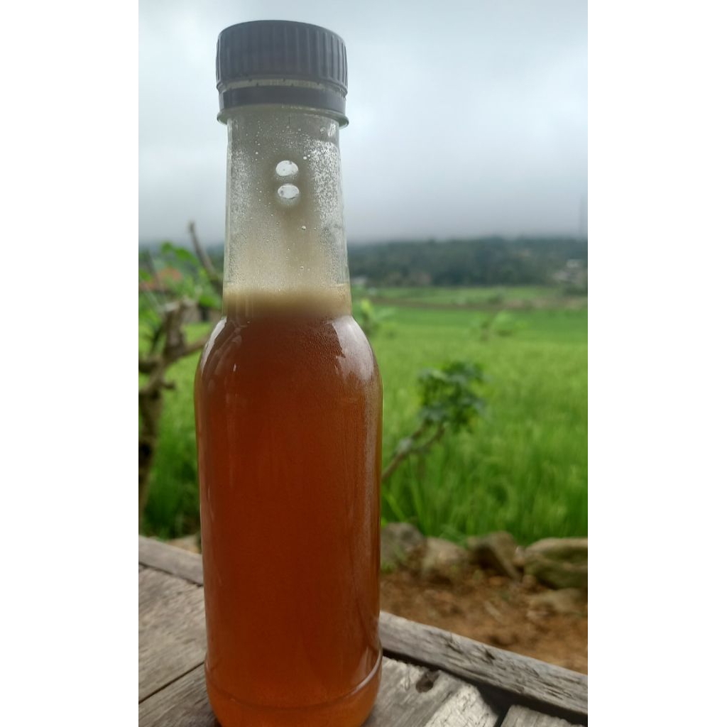 

Madu odeng hutan liar tanpa campuran