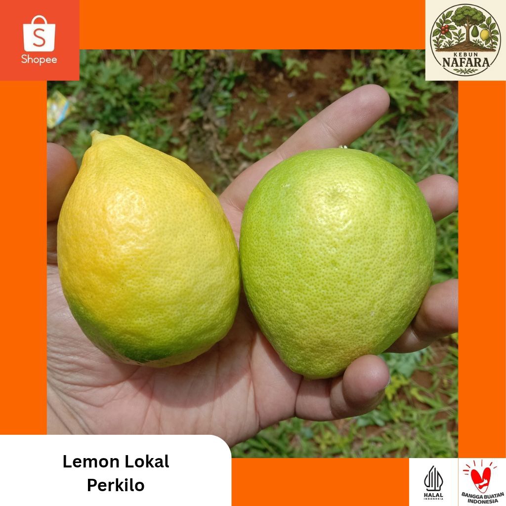 

Lemon Lokal (Perkilo)