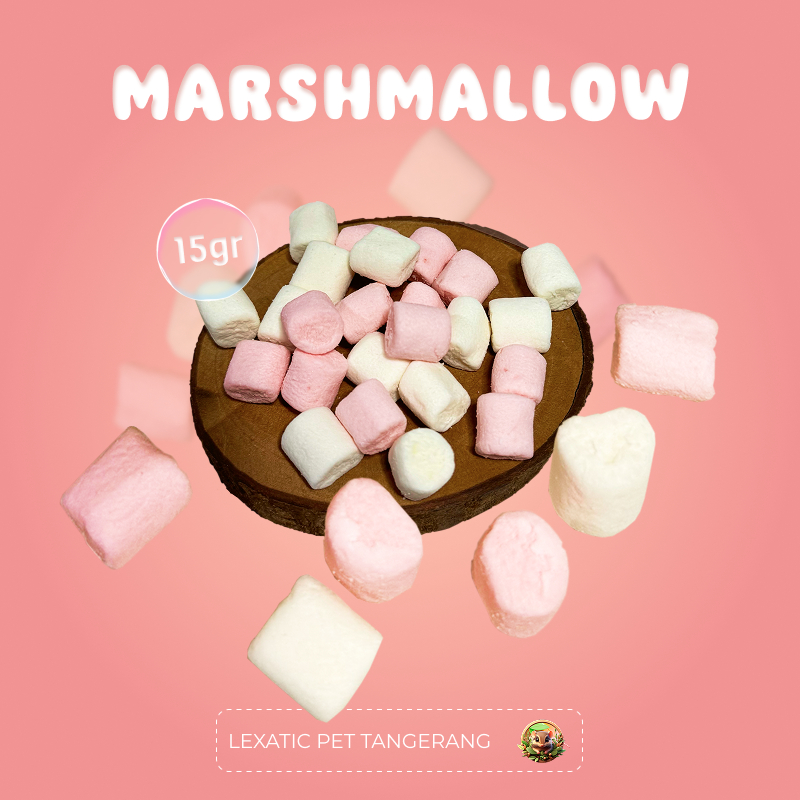 

Mini Marshmallow 15 Gram | Snack Marshmallow African Pygmy Dormice | Camilan Dormice