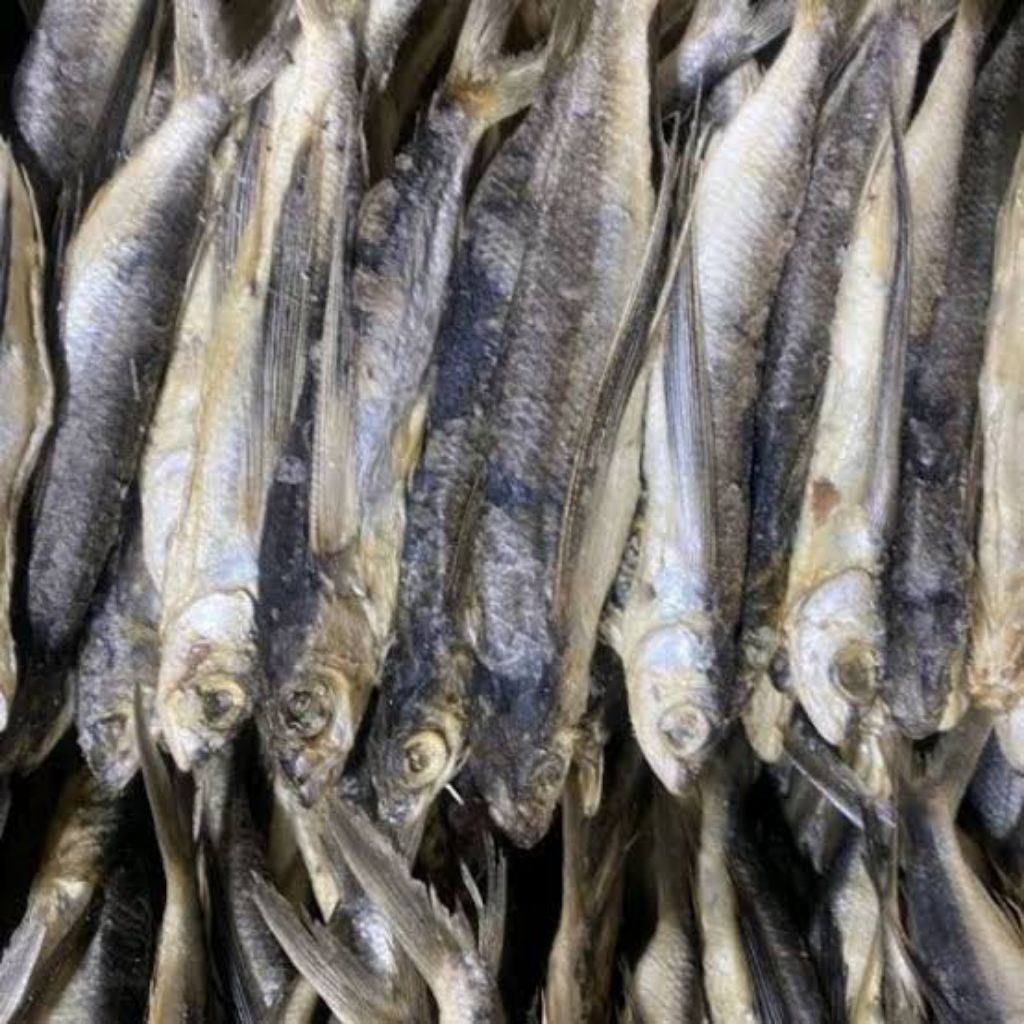 

IKAN ASIN BELALANG/INDOSIAR (PREMIUM) ORIGINAL*250GR*