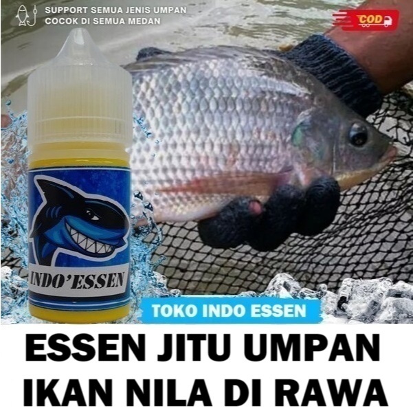 ESSEN UMPAN IKAN NILA DI RAWA PALING JITU