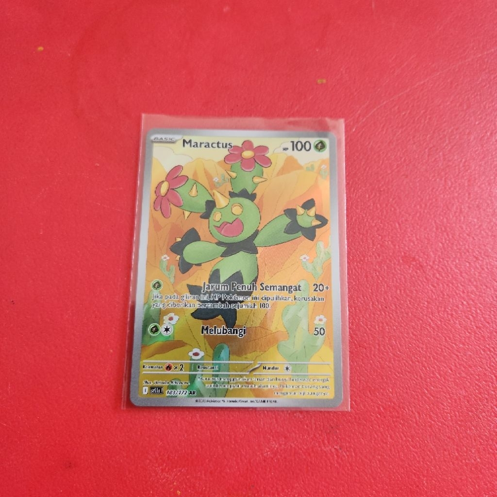 Maractus SV11S 183/172 AR