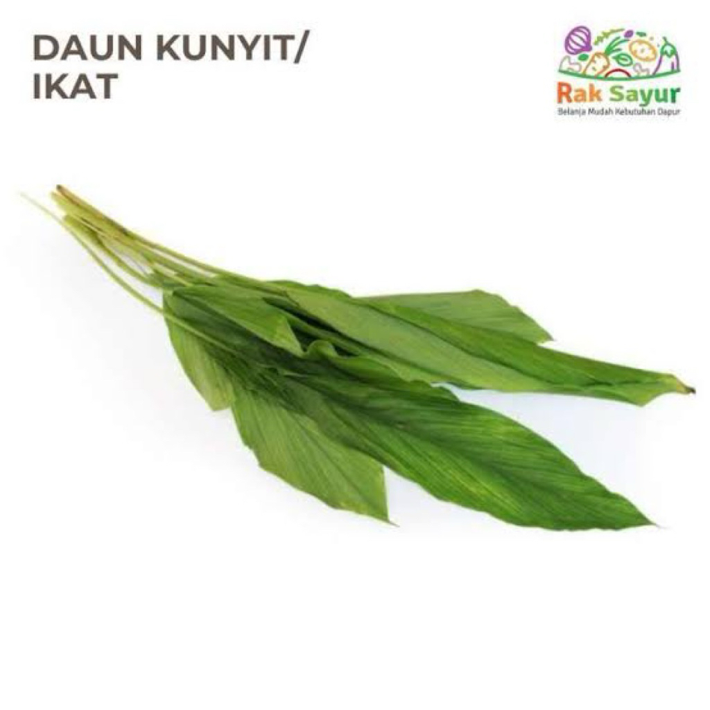 

DAUN KUNYIT / ikat / 36 FRESH PALEMBANG