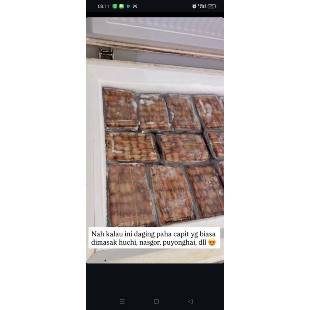 

CAPIT KEPITING PAHA / BADAN 150000-170000