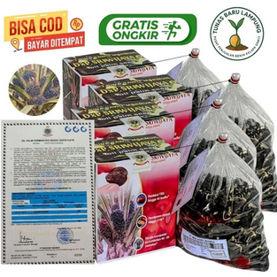 Bibit benih kecambah sawit unggul SRIWIJAYA 6 SEMIKLON + SERTIFIKAT RESMI isi 250 butir