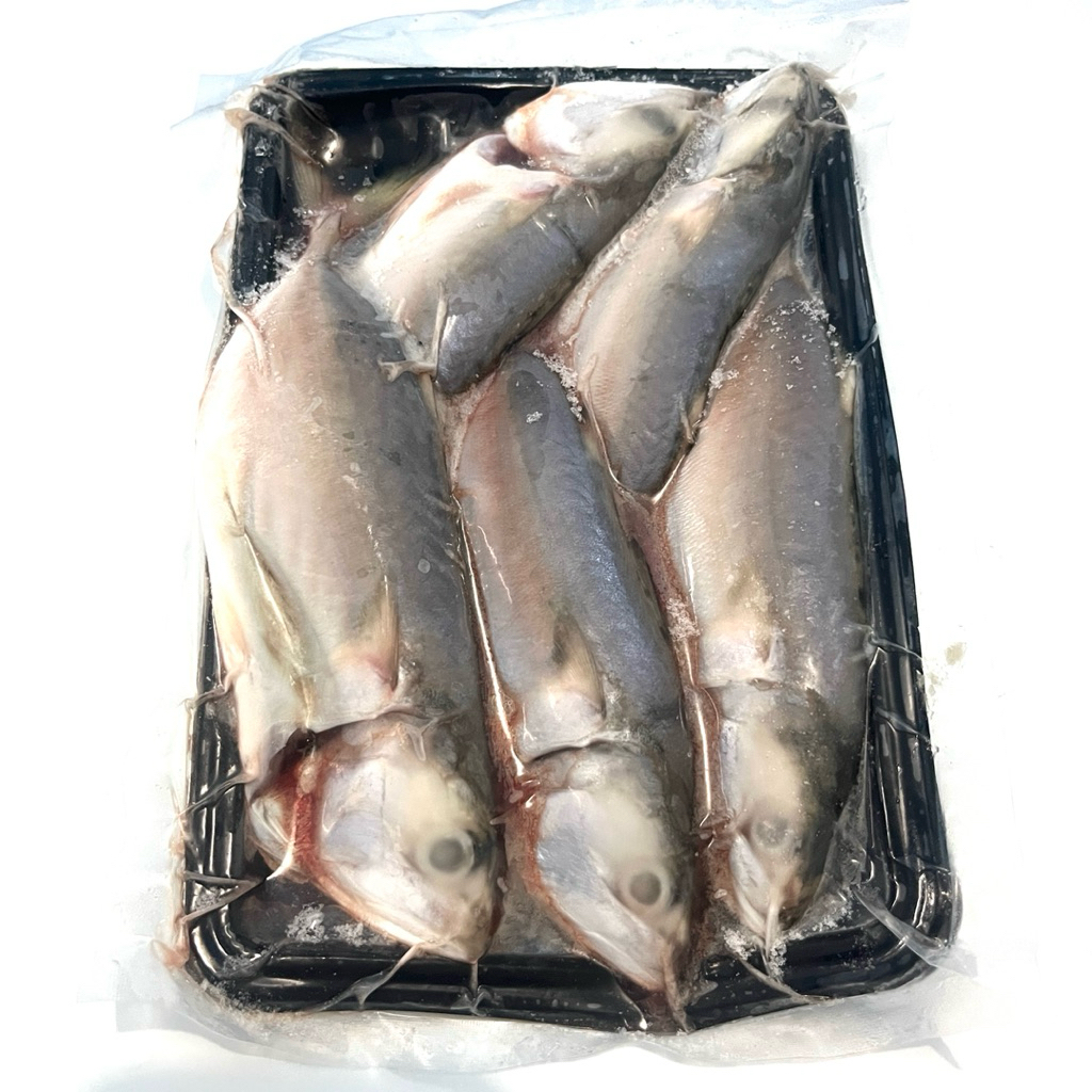 

IKAN LAUT EKORAN/IMPORT/OLAHAN (KEMBUNG, KERAPU, EKOR KUNING, SENANGIN, SHISAMO, TEKWAN)