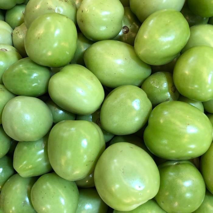 

tomat hijau segar / Tomat segar / tomat fresh