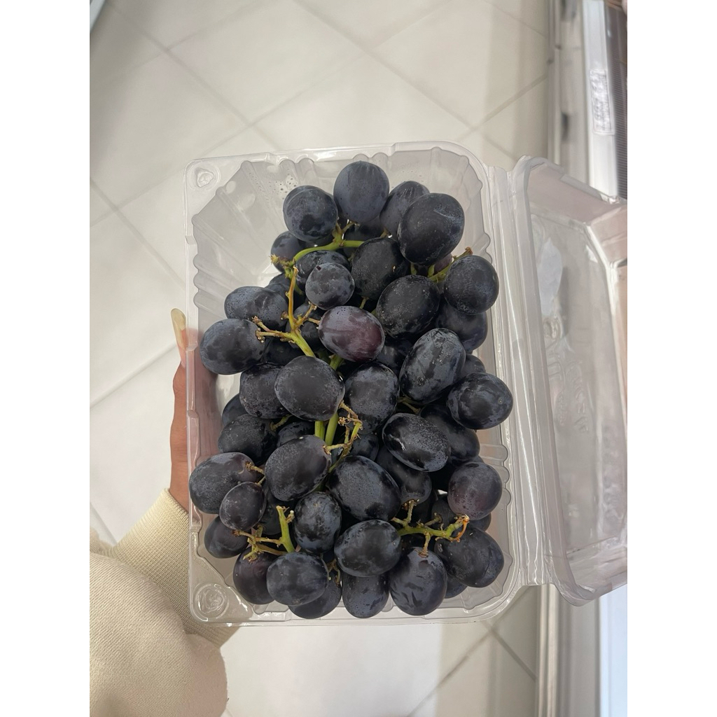 

Anggur Midnight Beuty Fresh | Anggur Black Beuty USA Fresh 500gram