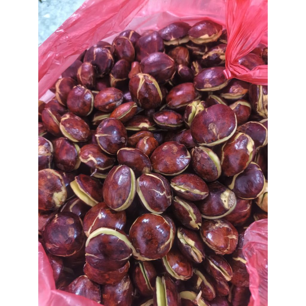 

Jengkol / sepi tua 1 kg