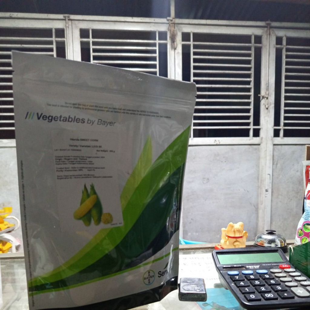 

jagung manis legi 88 bayer seminis