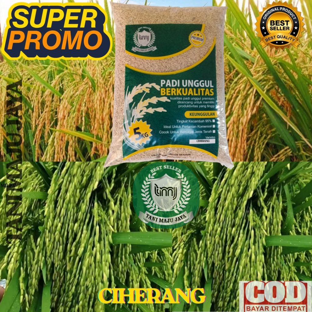 SUPER PROMO 10 KG BIBIT PADI BENIH PADI UNGGUL VARIETAS CIHERANG KEMASAN 5 KG