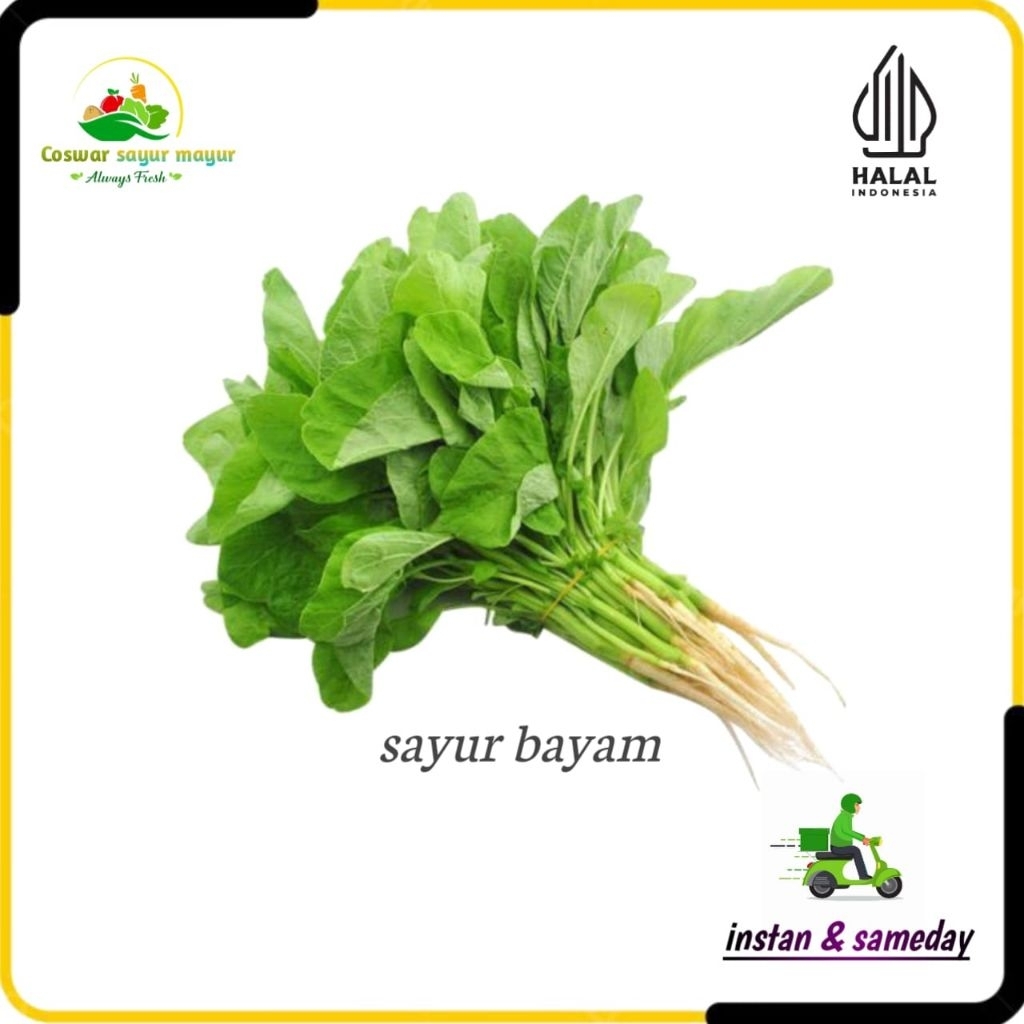 

{ 1 ikat } bayam sayuran segar sayuran daun bayam kualitas terbaik