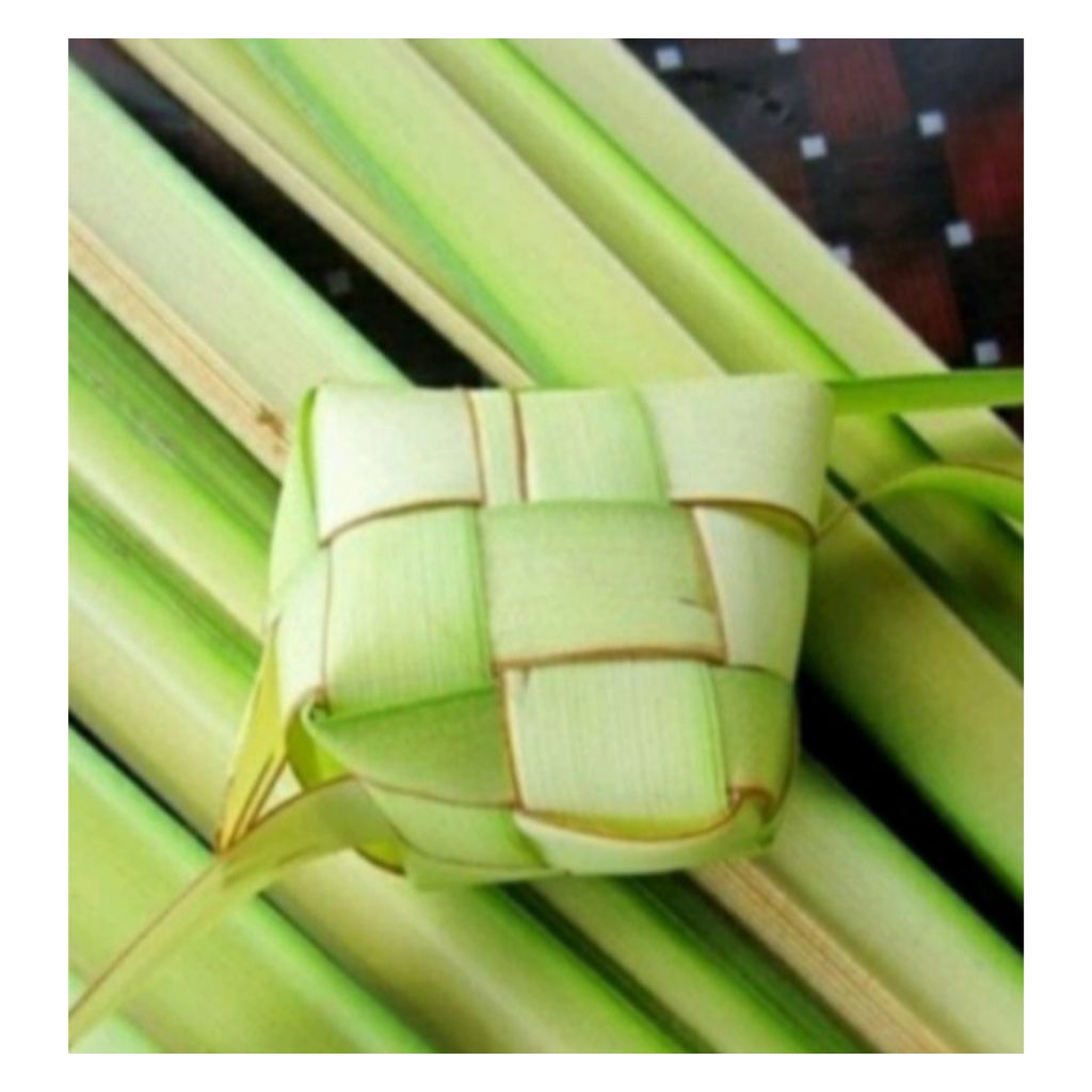 

janur kuning fresh isi 10