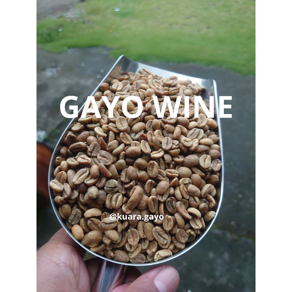 

GREENBEANS WINE KOPI GAYO ACEH BENER MERIAH 1KG