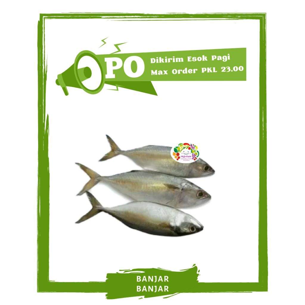 

Ikan Banyar / Ikan Segar PO Mallahrizwa