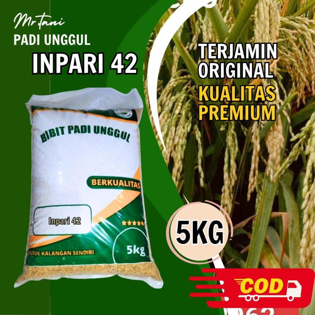benih padi INPARI 42 benih padi unggul dan berkualitas 5kg