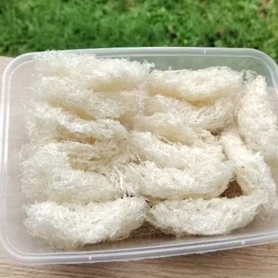 

sarang burung walet utuh - Yanwo / bird nest