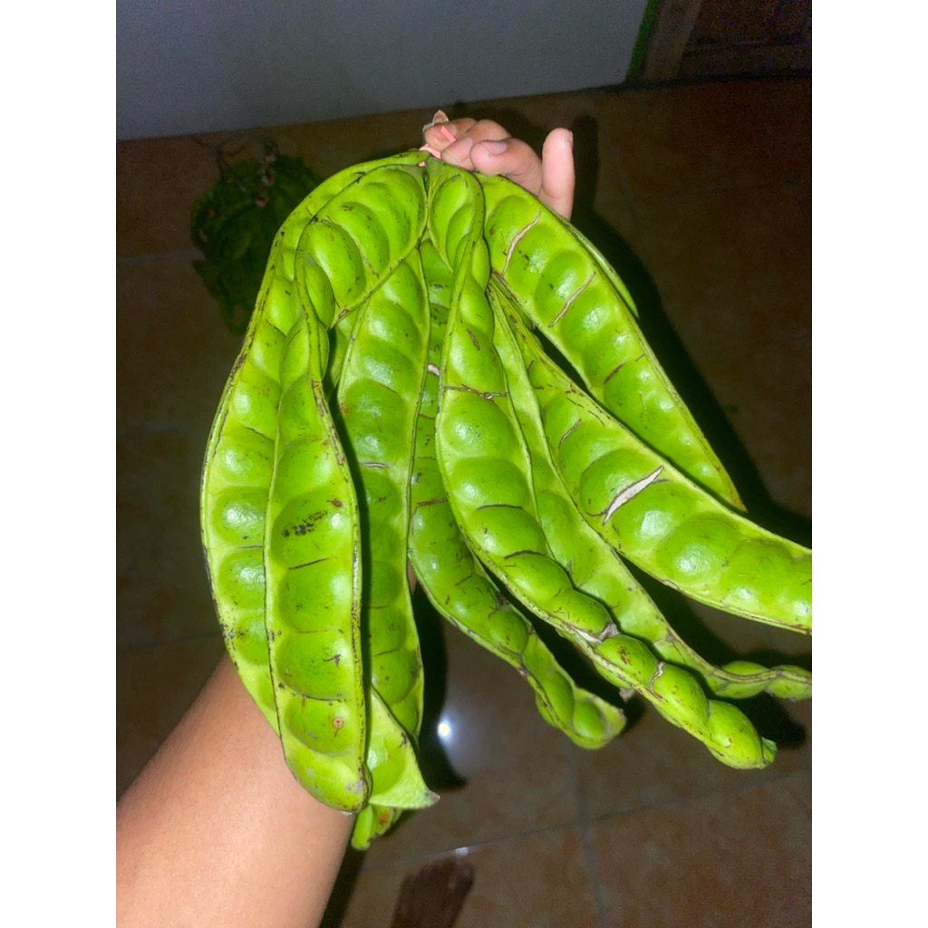 

PETE SEGAR,BERKUWALITAS,