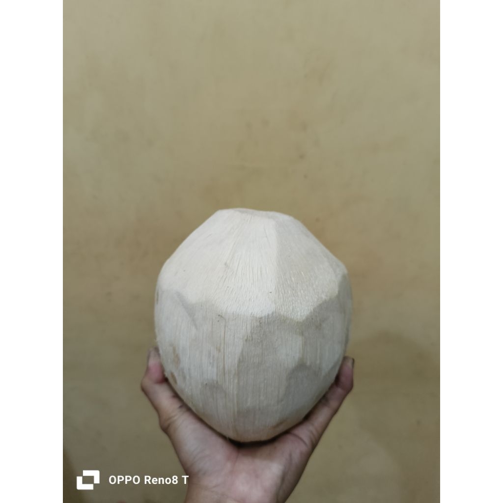 degan kupas bersih perbutir segar dan manis