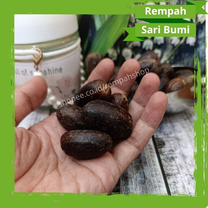 Bijian Biji Pala Export Quality Biji Pala Berkualitas